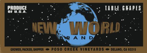 New World